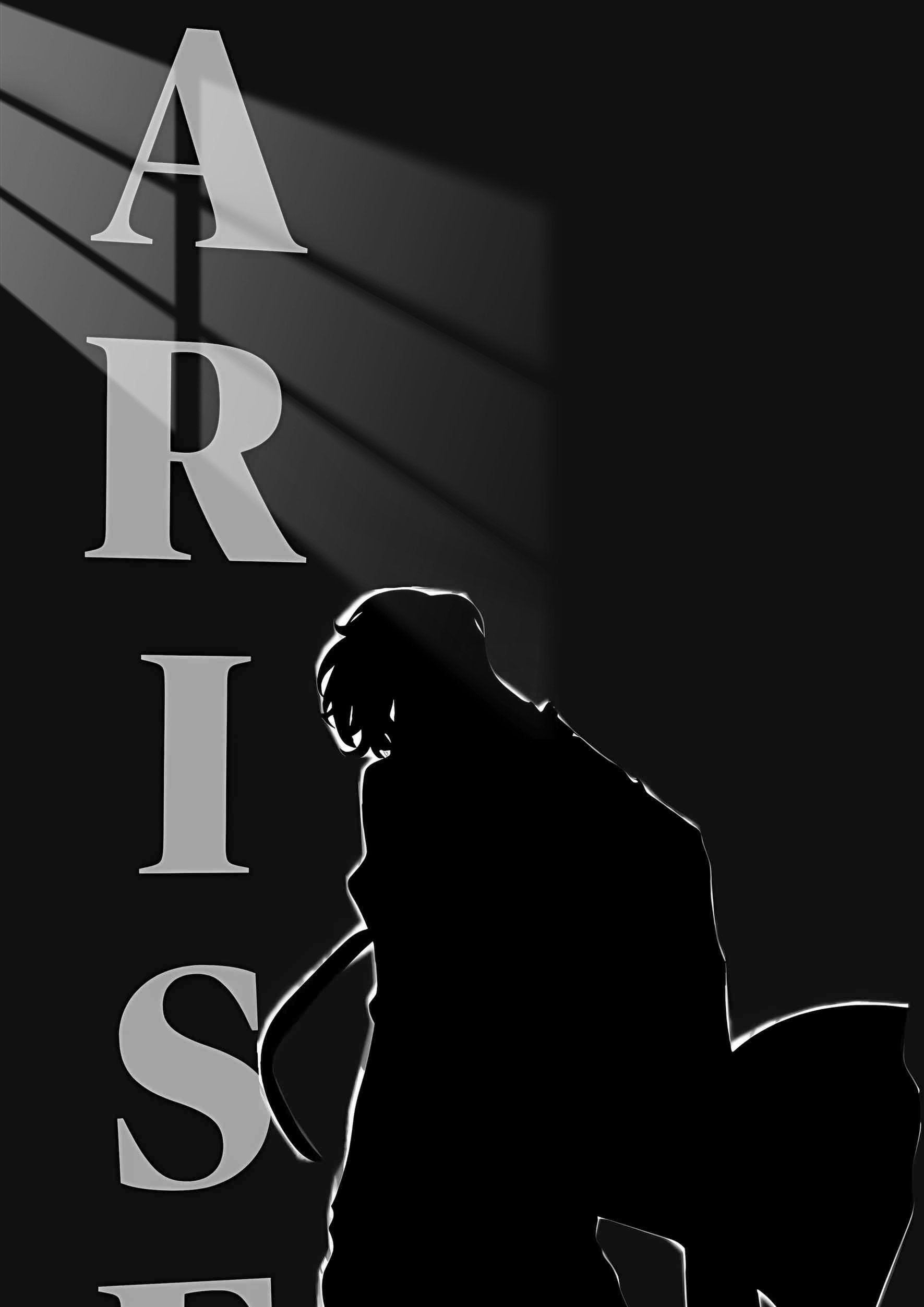 Sung Jinwoo Silhouette - Dark - Grey