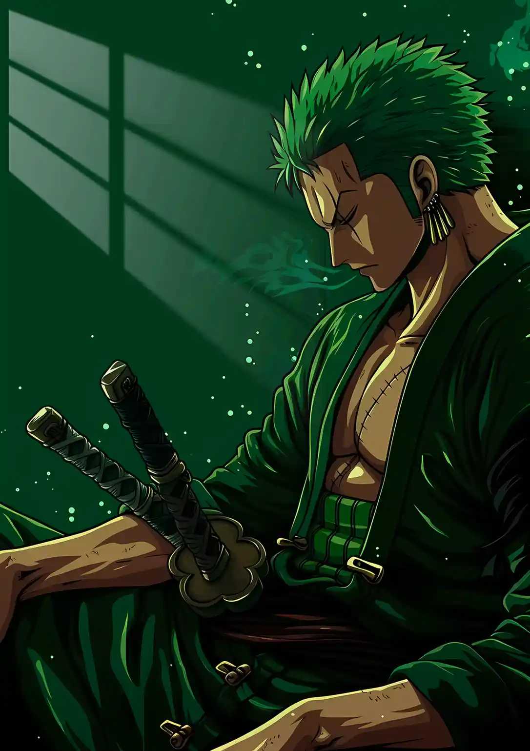 Zoro - Sleeping